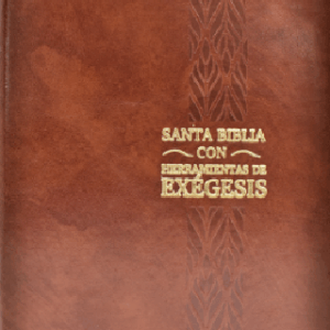 Biblia de Estudio RVR95